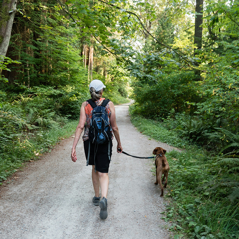Summer Adventure Safety: Hiking and Swimming with Pets