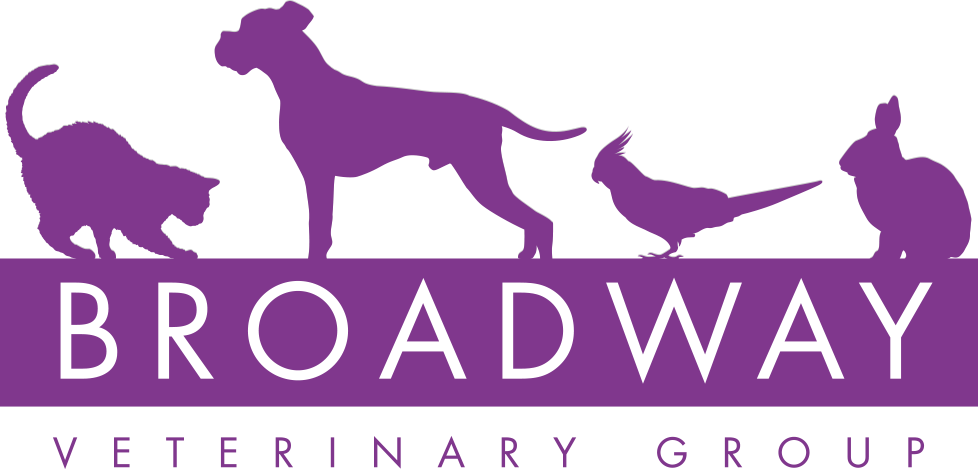 Broadway Veterinary Centre logo image